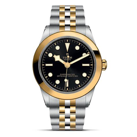 tudor black bay 39 s&g